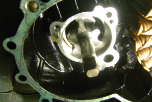 jet ski oil pump